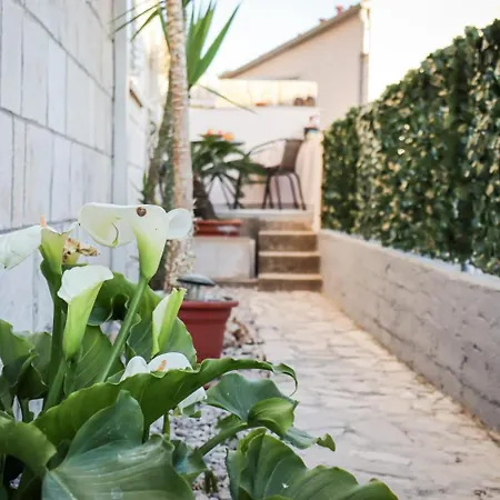 Luxury Marko Apartamento *